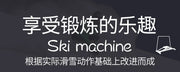 SRJOINFIT Ski Simulator Fitness Equipment, Artificial Skiing Machine, Skiing Machine