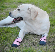 Outdoor Walk Dogs Shoes Waterproof Small Medium Large Dogs Shoes Durable Breathable Labrador Running Walking Pets Supplies