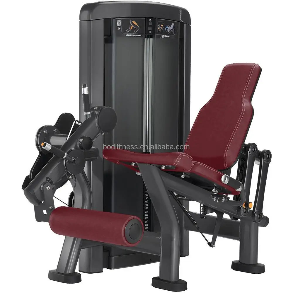 Commercial Gym Equipment Free Weights Plates Rack