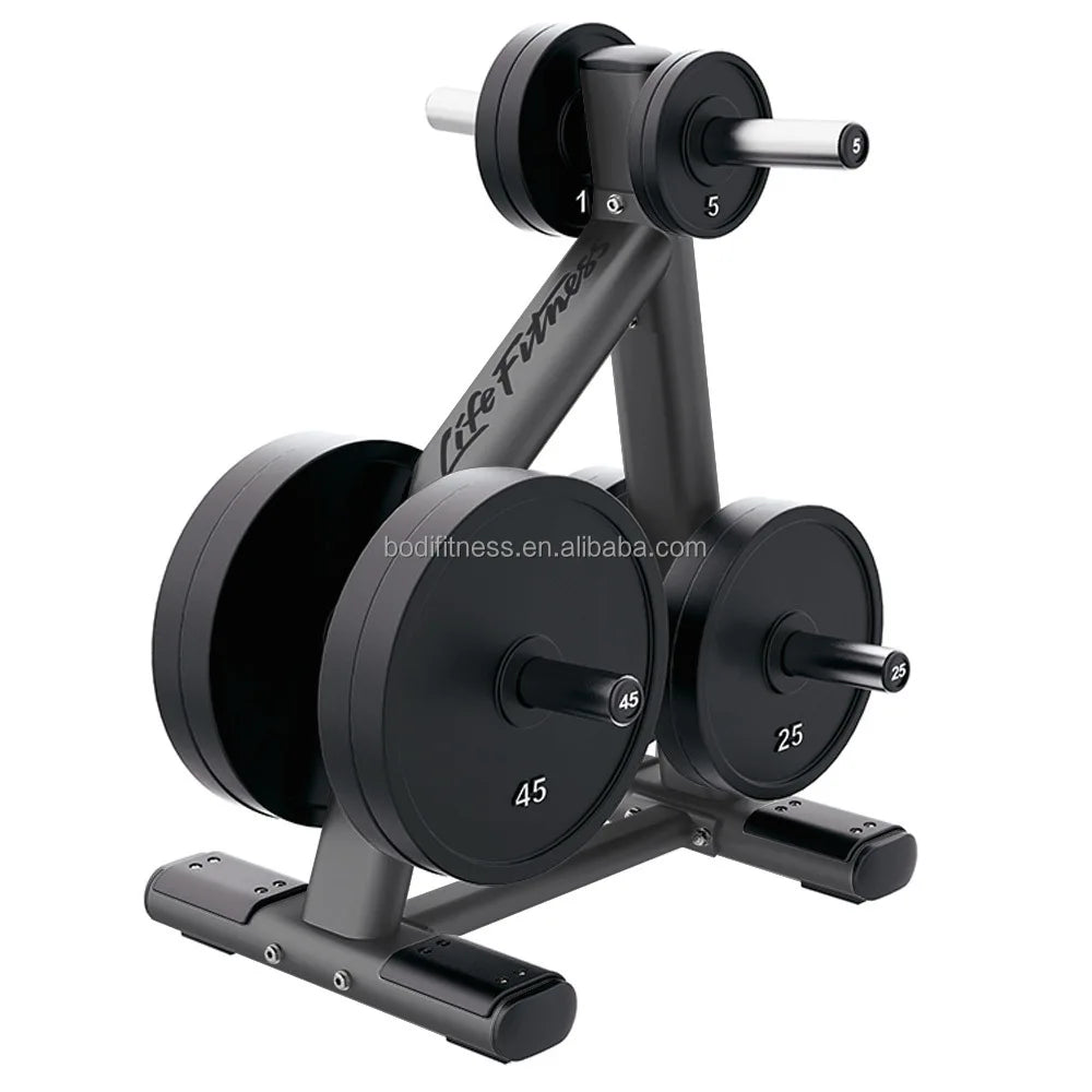 Commercial Gym Equipment Free Weights Plates Rack