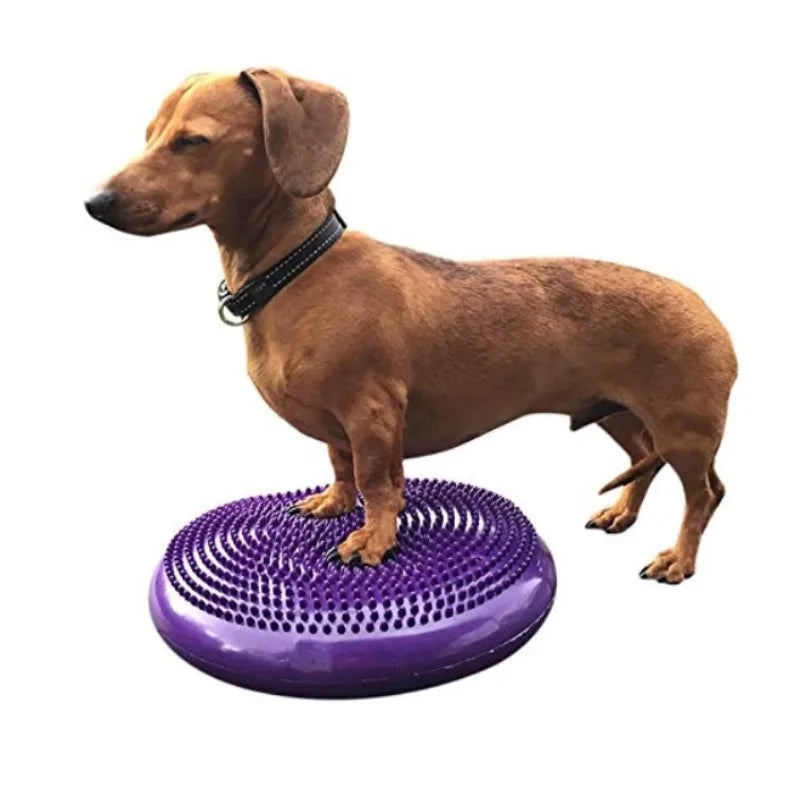 Dogs Training Aids Balance Flying Saucer Fitness Sports Muscle Atrophy Dog Agility Toy Pet Rehabilitation Training Products