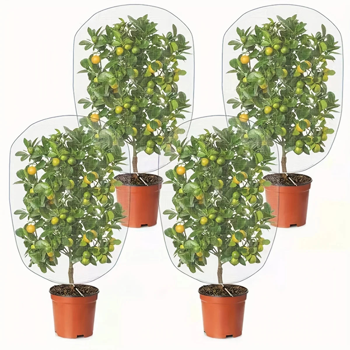Garden Netting Insect Bird Barrier, Plant Fruit Tree Protection Net, Keep Bugs Birds Away from Fruits Flowers Citrus