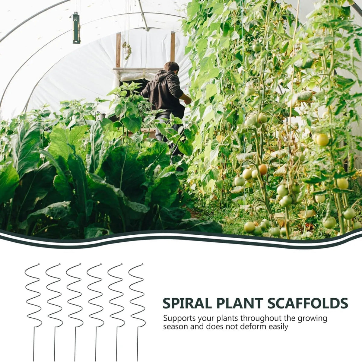 Plant Straight Pole & Spiral Climbing Support,Plant Supports Stakes,Plant Supports Cages Support Tools For The Garden,6pcs