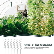 Plant Straight Pole & Spiral Climbing Support,Plant Supports Stakes,Plant Supports Cages Support Tools For The Garden,6pcs