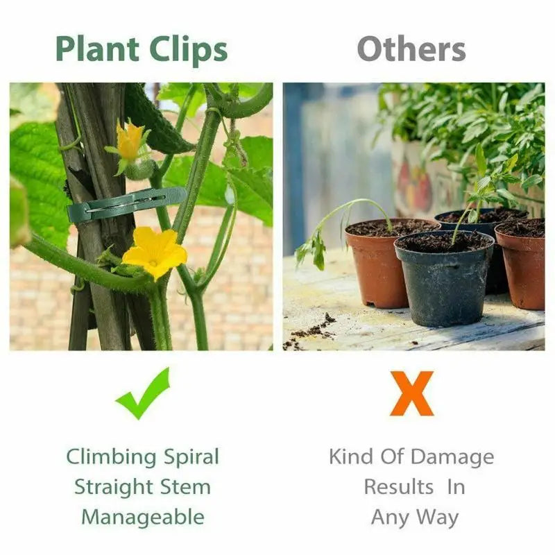 10pcs/set Green Garden Plant Fixed Clips Garden Tools for Greenhous Vegetables Stem Vines Grape Clamp Support Straighten Stems