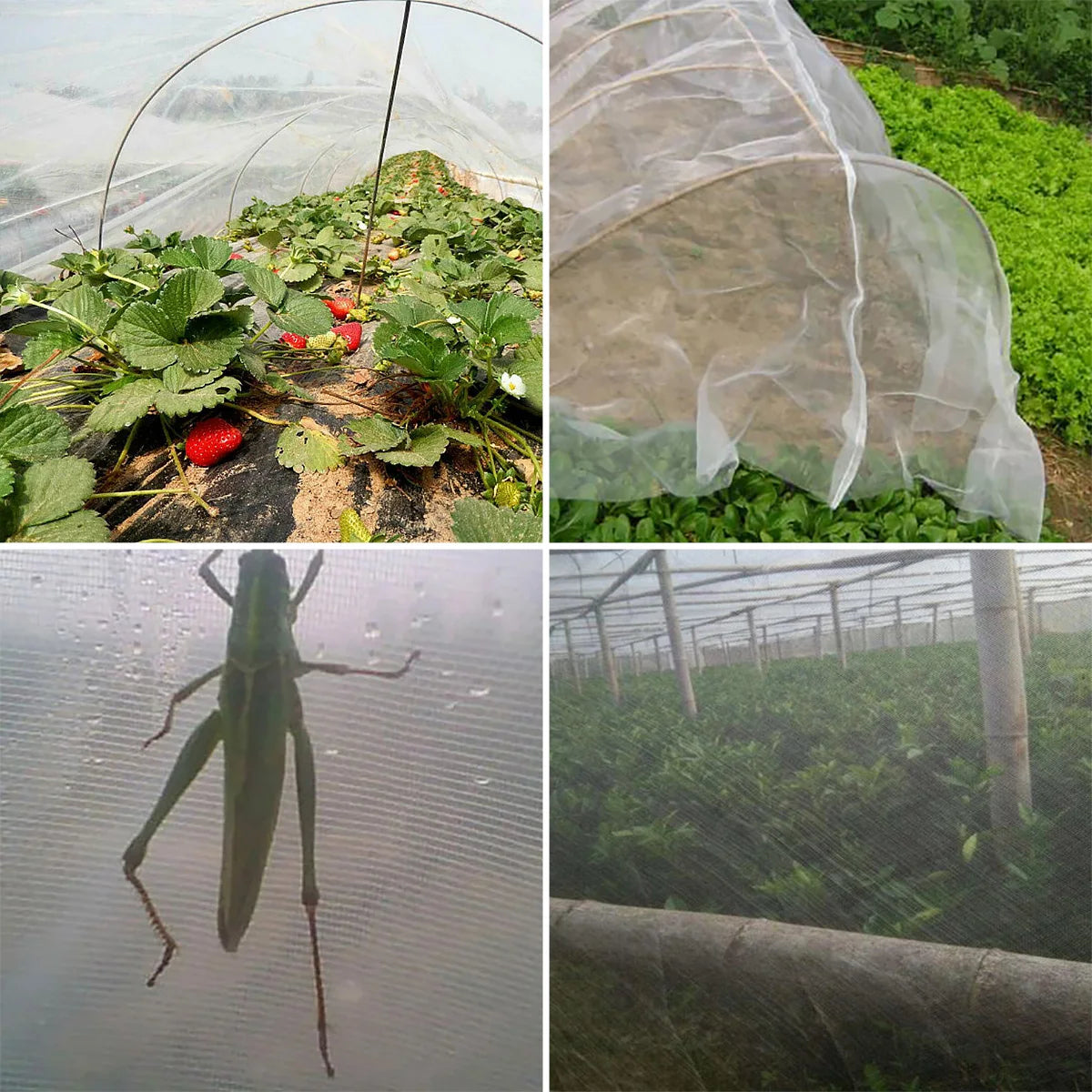 Garden Insect Protection Net Garden Vegetable Heavy Duty Woven Mesh Pests Control Anti-Bird Supplies Protecting Plants Fruits