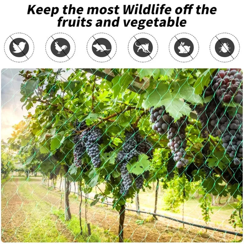 Garden Anti Bird Insect Protection Net Orchard Plant Vegetable Fruit Care Covers Green Mesh Pest Control Network Stretch Fencing