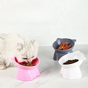 Elevated Pet Feeder for Cats & Dogs - Neck-Friendly, Anti-Tip Slanted Bowl for Food and Water