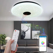 RGB Smart Ceiling Light LED Interior Home Decorative Light Luster Dimming Remote Control WIFI Living Room Ambient Light Party