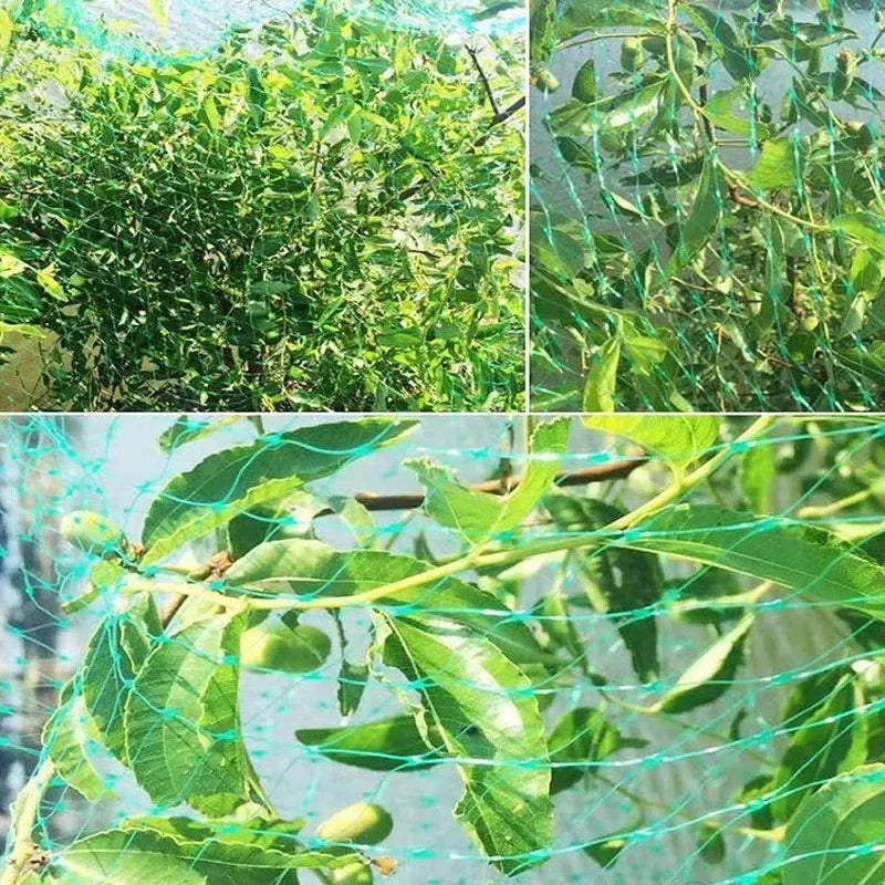 Garden Anti Bird Insect Protection Net Orchard Plant Vegetable Fruit Care Covers Green Mesh Pest Control Network Stretch Fencing
