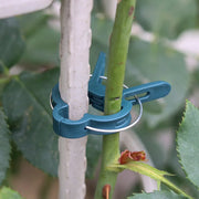 10pcs/set Green Garden Plant Fixed Clips Garden Tools for Greenhous Vegetables Stem Vines Grape Clamp Support Straighten Stems