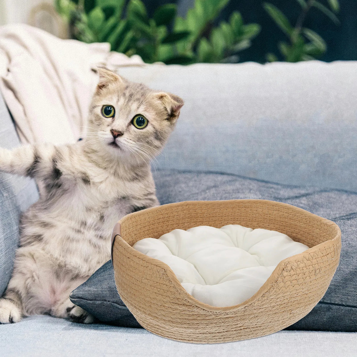 Cat Bed in Basket Woven Badket Sleeping Nest for Cats Weave with Cushion Type Pet