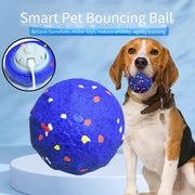 Dog Toy Durable Crew Ball Pet Grinding Teeth Toy For Dog Interactive Supplies High Elasticity Durable Chew Pet Interact Supply