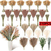 210 Pieces Bohemian Decoration in Dry Pampa Herb Lavender and Rustic Eucalyptus Home Decoration Wedding Room and Table Decor