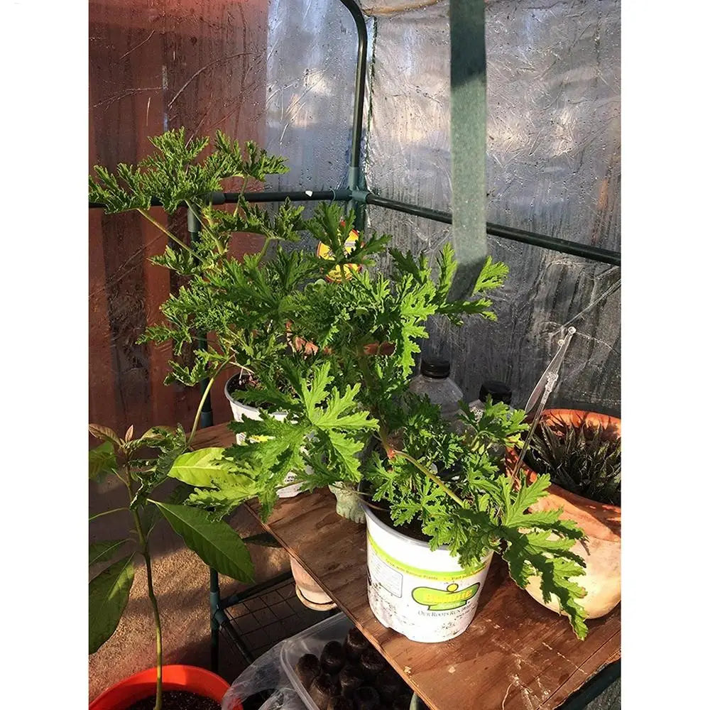 Greenhouse PVC Plant Cover Long Lasting Plant Cover Waterproof UV Resistant Garden Tent Cover Plant Guard for Vegetables Fruits