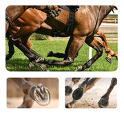 Horseshoe File Anti-slip Handle Double Side Carbon Steel Hoof Rasp Horse Hoof Trimming Tools Sanding Wood Equestrian Accessories