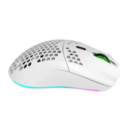 HXSJ T66 RGB 2.4G Wireless Gaming Mouse RGB Lighting Charging Mouse with Adjustable DPI Ergonomic Design for Desktop Laptop