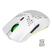HXSJ T66 RGB 2.4G Wireless Gaming Mouse RGB Lighting Charging Mouse with Adjustable DPI Ergonomic Design for Desktop Laptop