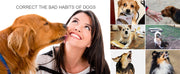 Dog Training Collar with Remote, Waterproof Shock Collar for Large Medium Small Dogs, Training Collar fo Smart Dog Shock Collar