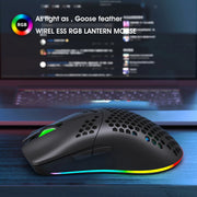 HXSJ T66 RGB 2.4G Wireless Gaming Mouse RGB Lighting Charging Mouse with Adjustable DPI Ergonomic Design for Desktop Laptop