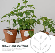 Plant Straight Pole & Spiral Climbing Support,Plant Supports Stakes,Plant Supports Cages Support Tools For The Garden,6pcs