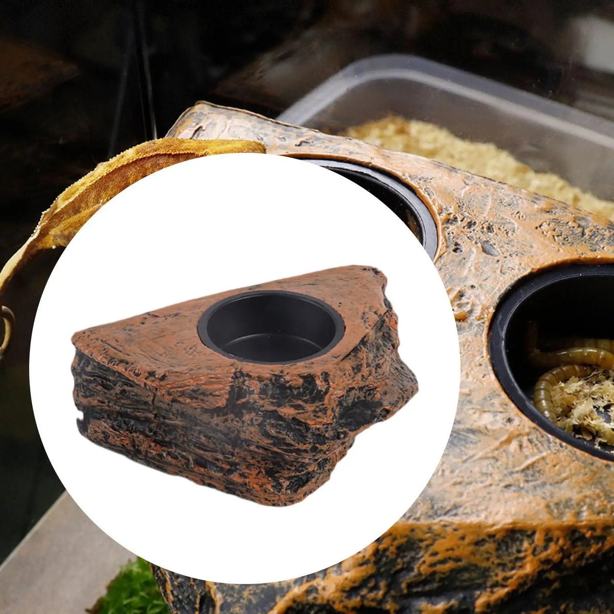 Reptile Accessories Magnetic Feeder Ledge Bowl Plastic Food Dish for Gecko Iguana Lizard Terrarium Supplies