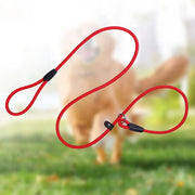 Dog Leash Strong Slip Lead Adjustable Loop High-density Nylon Braided Rope  Training Leash for Large Medium Small Dogs