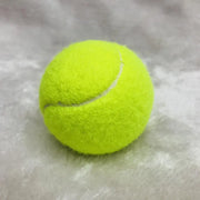 High Elasticity Training Entertainment Ball Tennis For Competition Training Exercises Elastic Fiber Rubber Outdoor Tennis Ball
