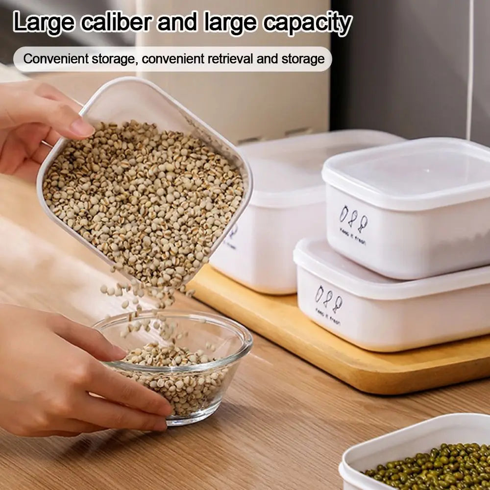 Large Capacity Food Storage Box Useful Plastic Moisture-proof Vegetables Food Container Fresh-keeping Fridge Organizer