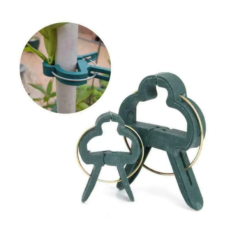 10pcs/set Green Garden Plant Fixed Clips Garden Tools for Greenhous Vegetables Stem Vines Grape Clamp Support Straighten Stems