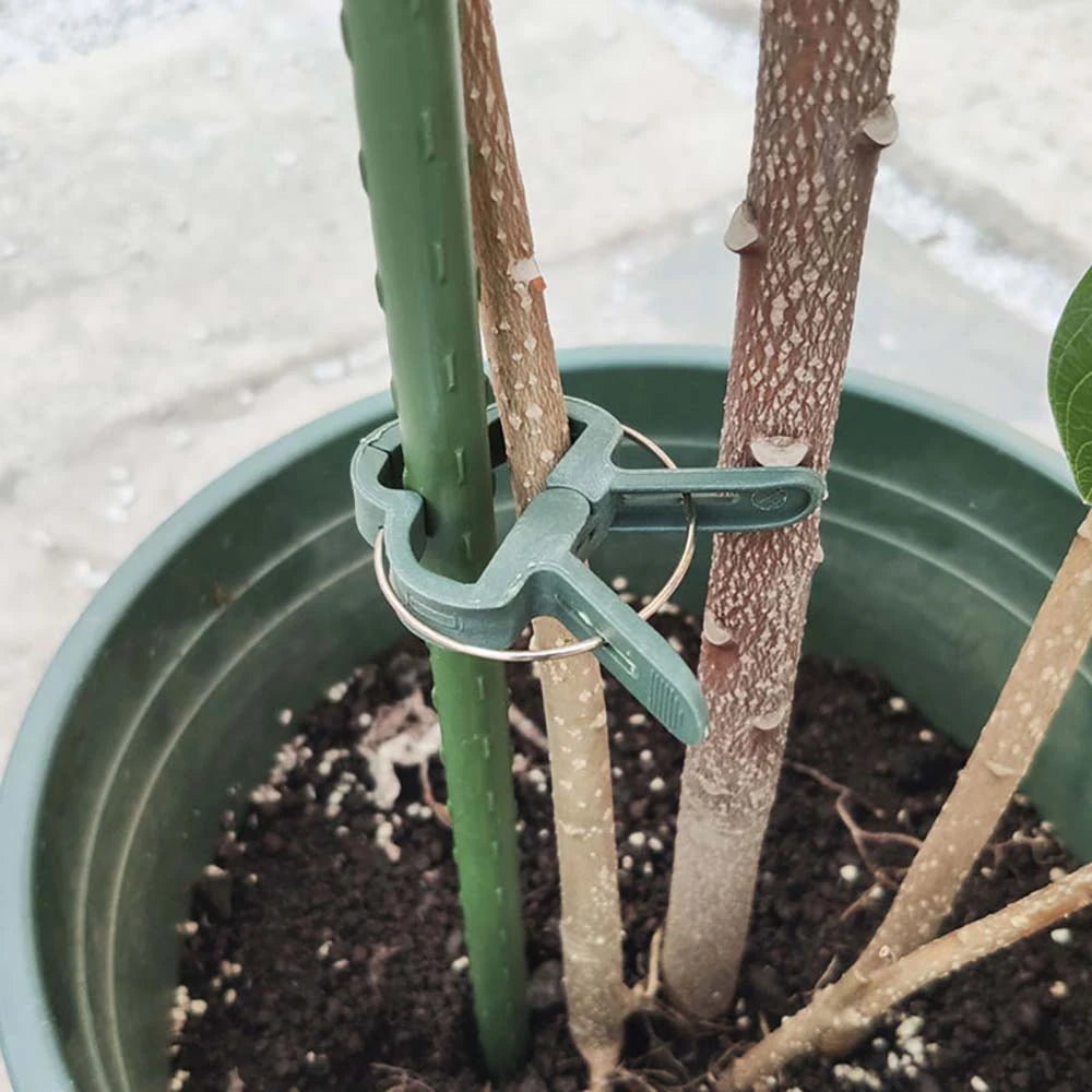 10pcs/set Green Garden Plant Fixed Clips Garden Tools for Greenhous Vegetables Stem Vines Grape Clamp Support Straighten Stems