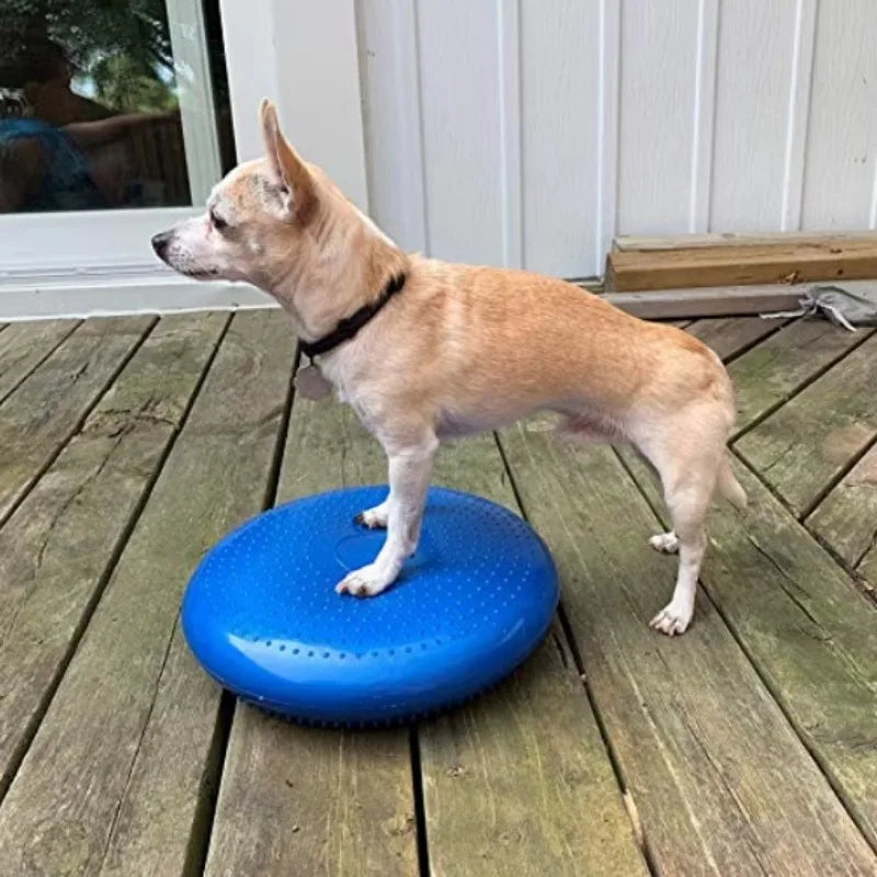 Dogs Training Aids Balance Flying Saucer Fitness Sports Muscle Atrophy Dog Agility Toy Pet Rehabilitation Training Products