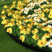 10M Landscape Edging Kit Fixed Garden Barrier Lawn Grass Plastic Edging Border Edging Garden Edging Coil for Lawn Yard Pathway