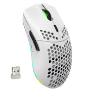 HXSJ T66 RGB 2.4G Wireless Gaming Mouse RGB Lighting Charging Mouse with Adjustable DPI Ergonomic Design for Desktop Laptop