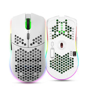 HXSJ T66 RGB 2.4G Wireless Gaming Mouse RGB Lighting Charging Mouse with Adjustable DPI Ergonomic Design for Desktop Laptop