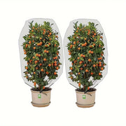 Garden Netting Insect Bird Barrier, Plant Fruit Tree Protection Net, Keep Bugs Birds Away from Fruits Flowers Citrus