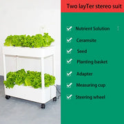 Greenhouse Soilless Hydroponic System Equipment Indoor Vegetable Flower Pot Vegetable Planting Balcony Modular Vertical Garden