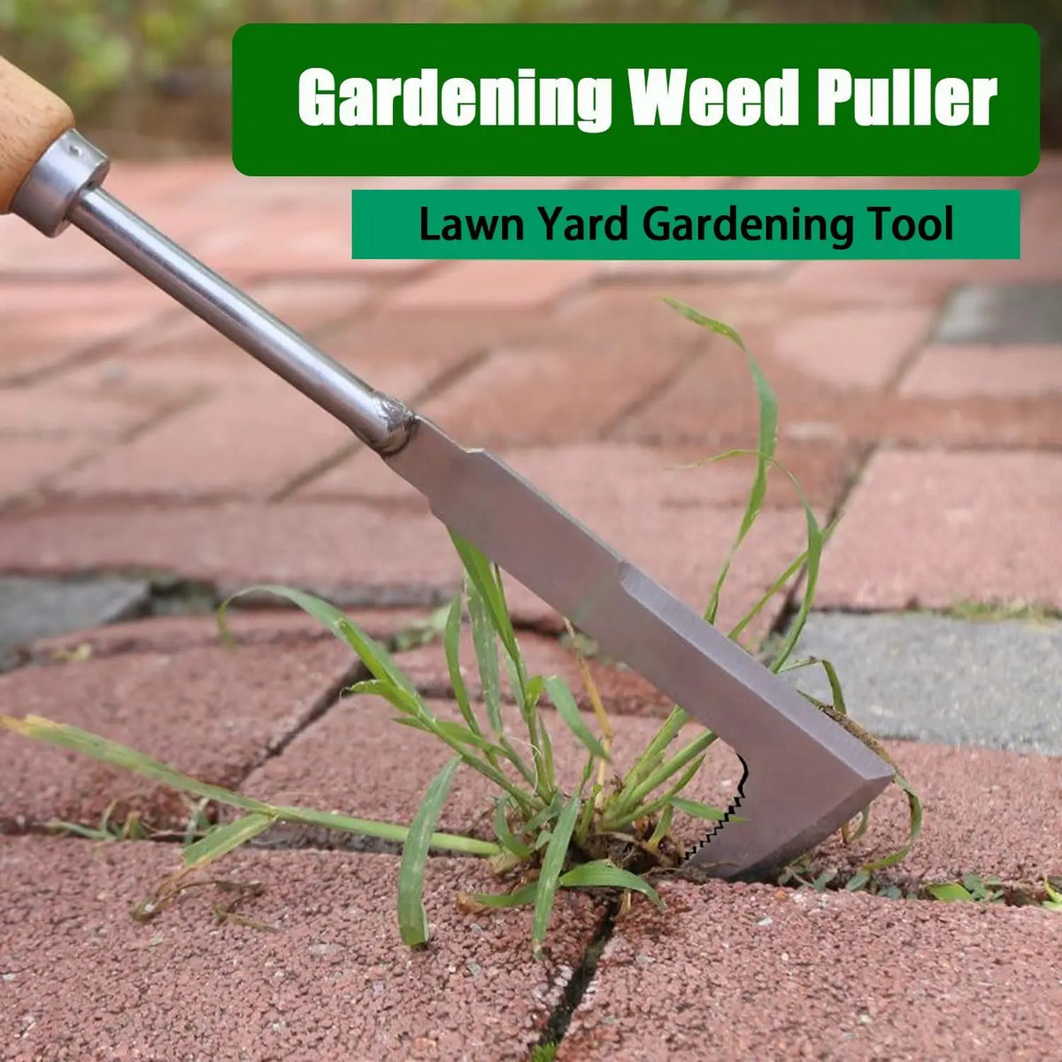 Crack Weeder Crevice Weeding Tool Stainless Steel Manual Weeder Beech Handle Gardening Tool