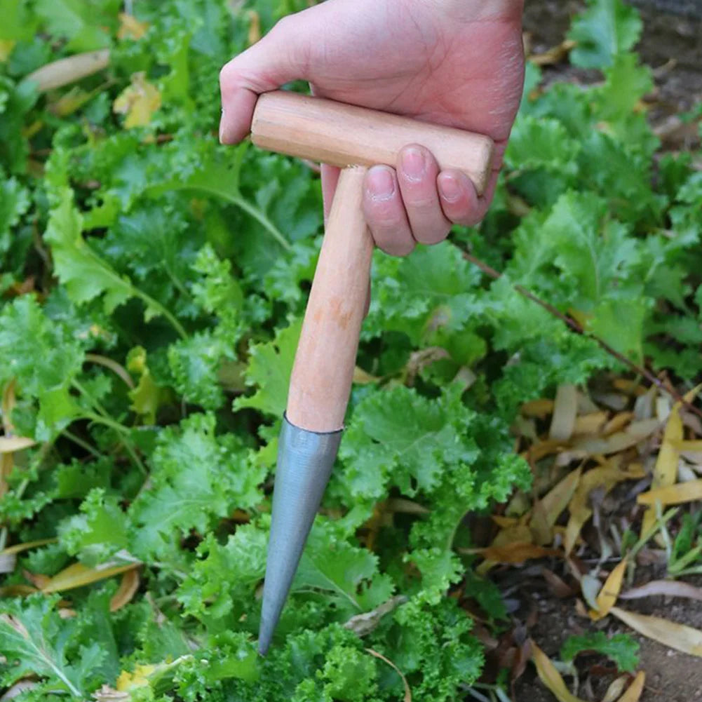 Hand Dibber Garden Tool Stainless Steel Garden Dibber With Wood Handle for Sowing Transplanting Planting Bulb Digging