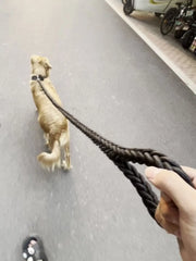 Dog leash for effective training and comfortable walking, strong and durable braid, suitable for large dogs, dog training leash