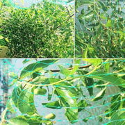 Garden Anti Bird Netting for Fruit Trees Vineyard Fruits Crops Vegetable Flower Protection Mesh Net Fencing Pond Pool Covers Net
