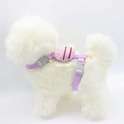 Dog Accessories Bag For Dogs Leash Supplies Strap Harness Pets Pet Sling Small Home. Collar Breed Articles Goods Chest Products