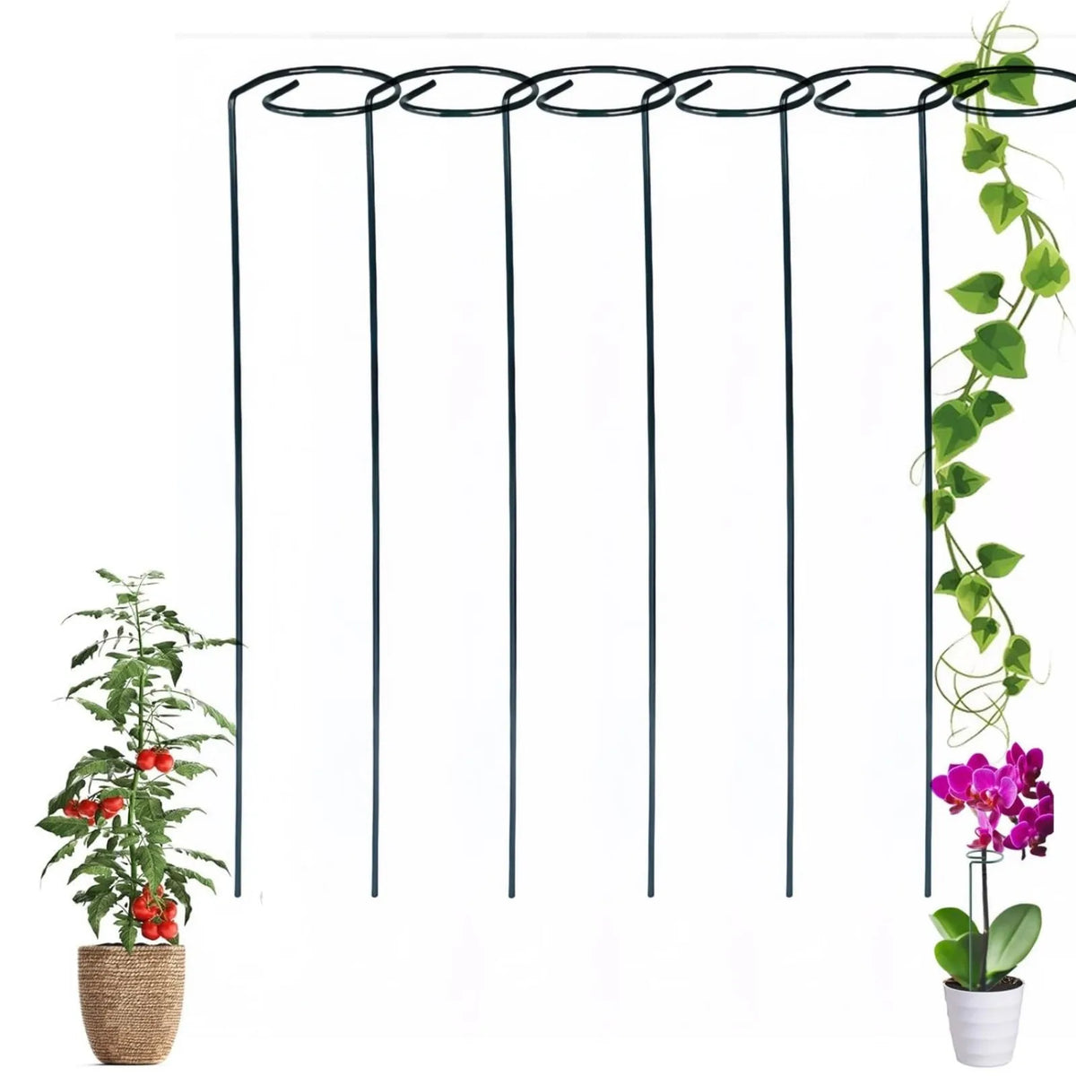 Plant Straight Pole & Spiral Climbing Support,Plant Supports Stakes,Plant Supports Cages Support Tools For The Garden,6pcs