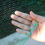 Garden Anti Bird Insect Protection Net Orchard Plant Vegetable Fruit Care Covers Green Mesh Pest Control Network Stretch Fencing