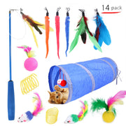Cat Toy Set Interactive Play Kitten Toys for Indoor Cats Fun Exercise Entertainment Pet Fishing Rod Teaser Wand Plush Mouse