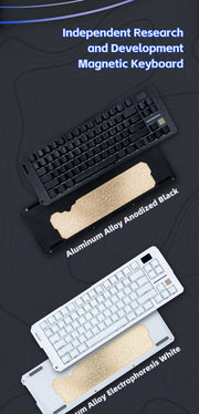 SIKAKEYB Castle HM80 HE 82 Keys New Arrival E-Sports Gaming  Gateron  Gaming Switch Aluminum Magnetic Keyboard