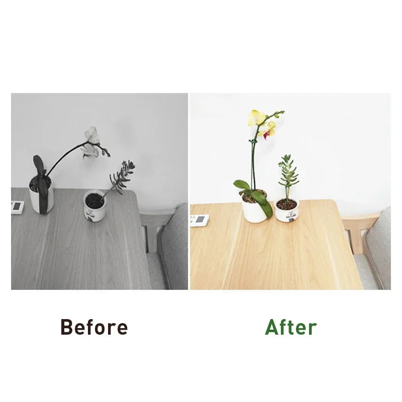 10pcs Gardening tools Plant potted flower fixed anti fall frame Shape support rod Reusable plant scaffold Bonsai fixing tool