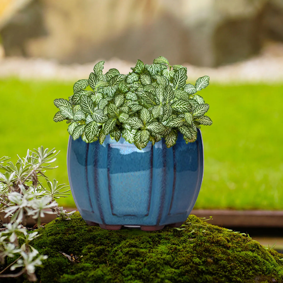 Ceramic Garden Planter Pots Ceramic Plant Pots with Drainage Holes Design for Balcony Living Room Bedroom