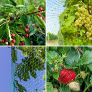 Garden Anti Bird Insect Protection Net Orchard Plant Vegetable Fruit Care Covers Green Mesh Pest Control Network Stretch Fencing