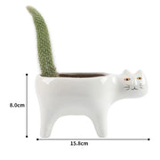 Cute Ceramic Garden Living Room Cactus Plants Balcony Plant Pot Flower Pot Plant Container Tabletop Ornaments